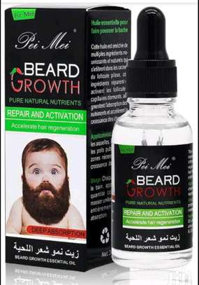 Beard growth image 1