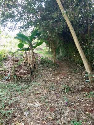 Residential Land at Fronting Limuru Road image 14