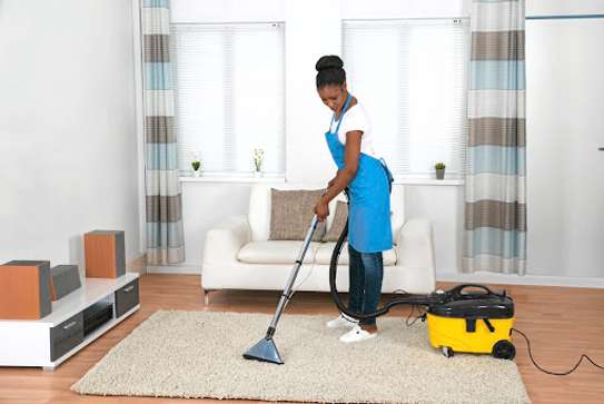 Domestic Cleaning Services - House Cleaning Services. image 2