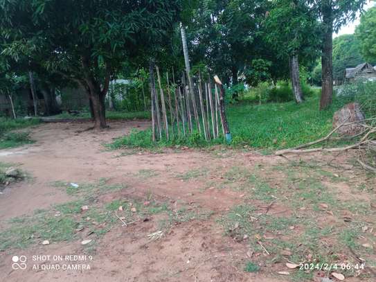 1 ACRE PRIME PLOT FOT SALE AT MSAMBWENI, KWALE image 15