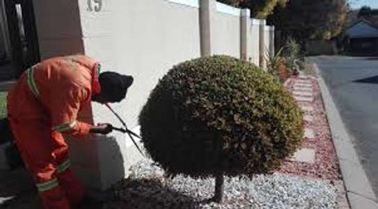 Bestcare Facility Services-Gardening & Maintenance Services image 12