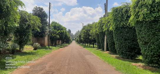 Residential Land in Runda image 16