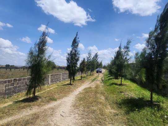 Ostrich farm plots on sale in Kitengela image 2
