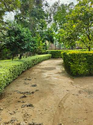 4 Bed Townhouse with En Suite at Karen image 11