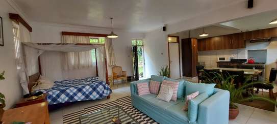 Furnished 1 bedroom house for rent in Kitisuru image 3