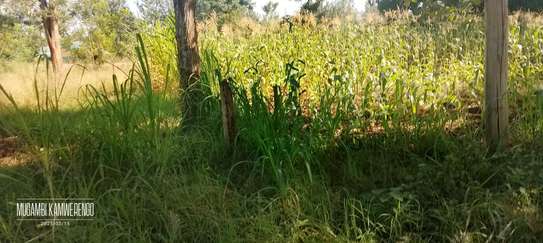 Kithimu 1½ Acres image 3