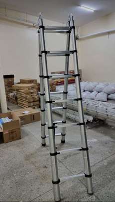 SINGLE&DOUBLE TELESCOPIC LADDERS FOR SALE image 2