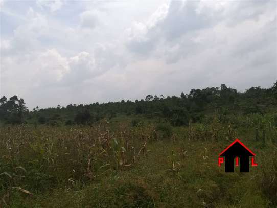 Juja 20 acres  5km from tarmac 8.5m per acre image 1