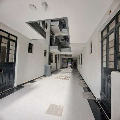 Serviced Studio Apartment with En Suite in Thika Road image 1