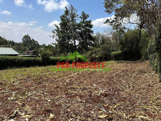 Commercial Land in Kinoo image 14
