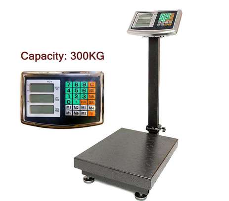 300kg Computerized Digitial Weighing image 2