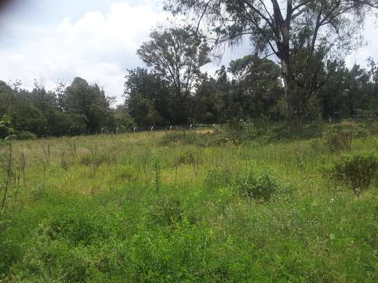 Lovely One Acre in Karen image 8