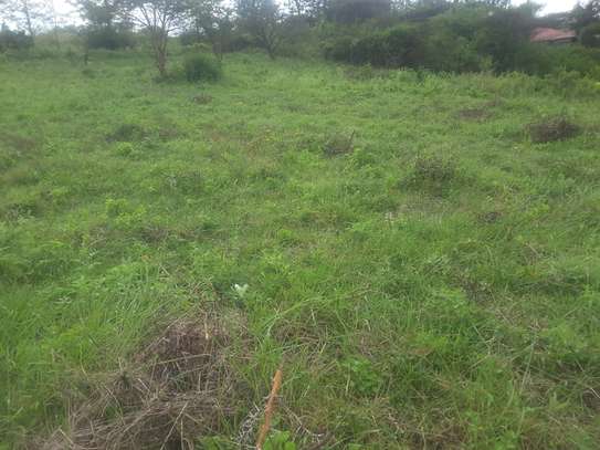 Beautiful one eighth plots in Ngong image 13