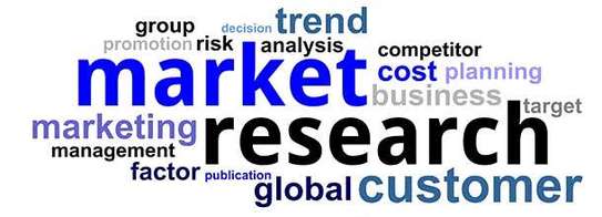Market / Business Research Services image 1