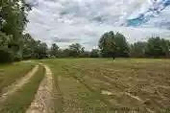 2 acres land in kinangop image 2