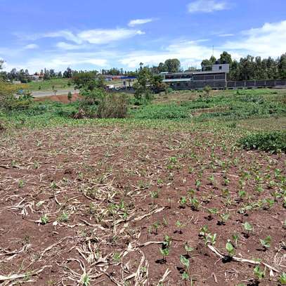 40X80ft PLOT FOR SALE AT KENOL. 100MTRS FROM HIGHWAY image 1