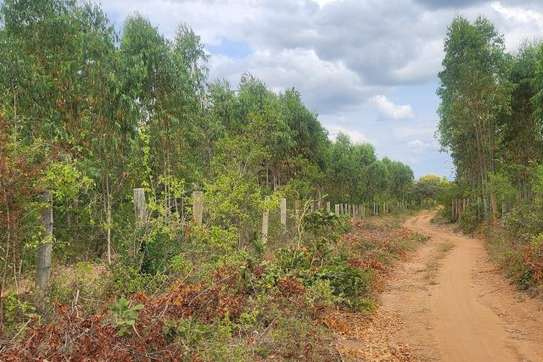 Gachuriri Prime land for sale image 5