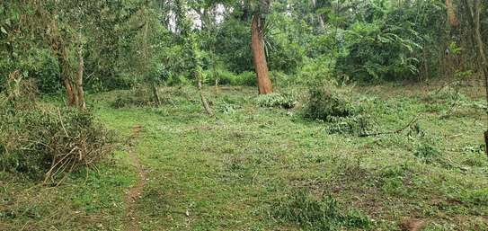 0.25 ac Land at Nyeri image 8
