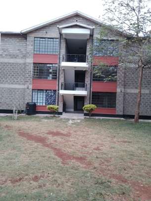 3 Bed Apartment with Backup Generator in Thika image 2