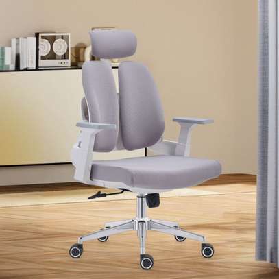 Office Chair: Double Back Height Adjustable Armrests Chair image 1