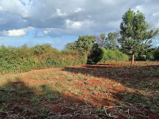 Residential Land at Kiukenda image 5