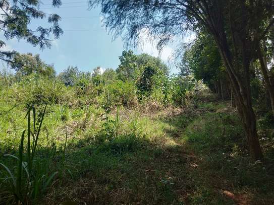 Residential Land at Fronting Limuru Road image 11
