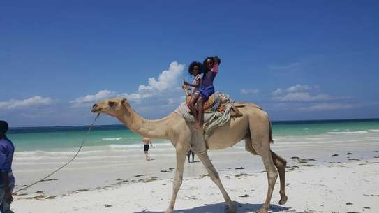 Land in Shanzu image 20