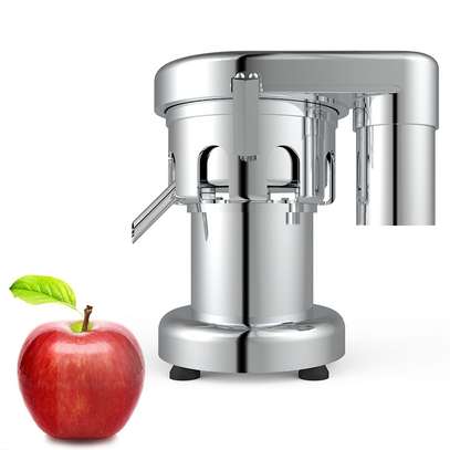 Juice Extractor_ Commercial Fruit & Vegetable Juicer image 3