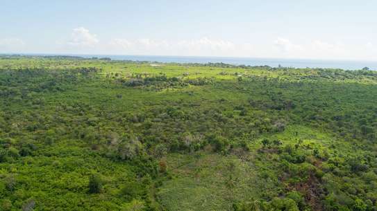 0.25 ac Residential Land at Diani Beach Road image 23