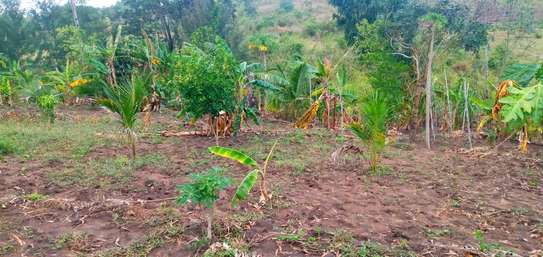 22 acres in Kwale County Vuga near Bila Shaka primary. image 5