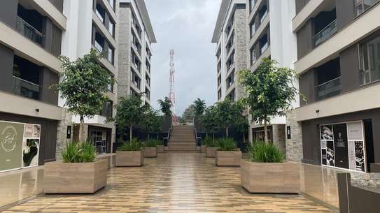 2 Bed Apartment with Swimming Pool at Redhill Road image 3