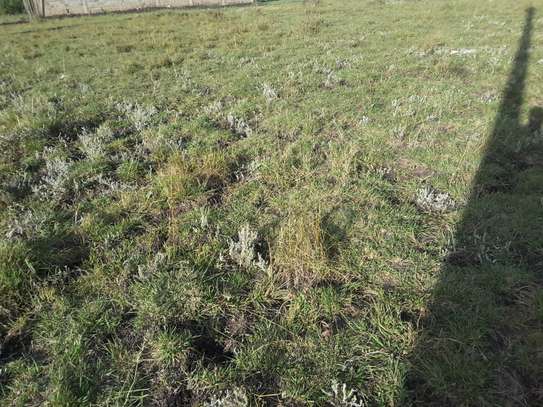 Lovely One Eighth Plots in Ongata Rongai image 4