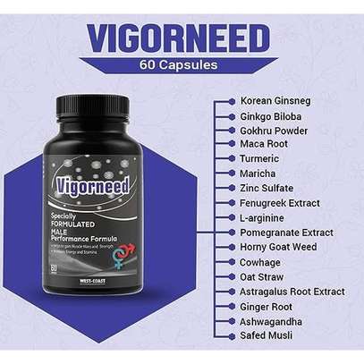 Vigorneed Heal Prostate And Increase Male Potency image 2