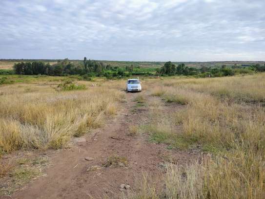 Affordable Plots in THIKA-MUTHARAA. image 6
