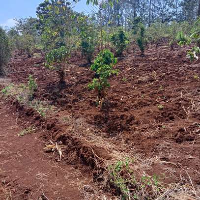40X80ft PLOTS FOR SALE AT KENOL TOWN JUST BEHIND MAGUNAS image 1