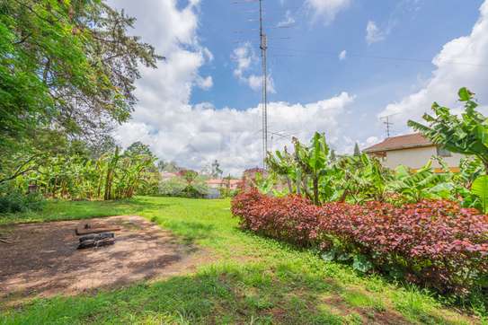 0.5 ac Land in Rosslyn image 9