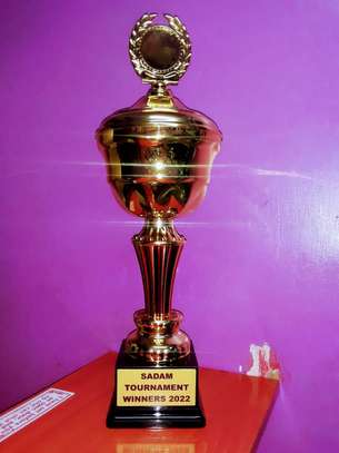 TROPHIES PERSONALIZED TO SUIT YOUR AWARDING NEEDS image 2