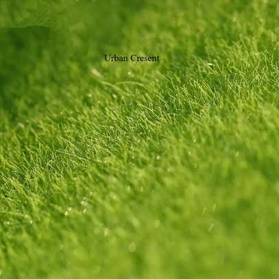 QUALITY GRASS CARPETS image 1
