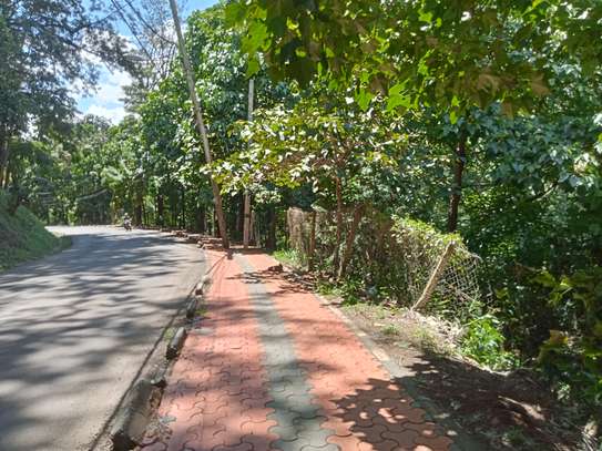 Residential Land at Peponi Road image 1