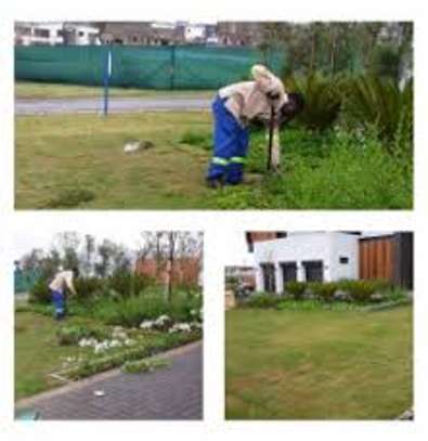 Gardening and outdoor maintenance services image 13