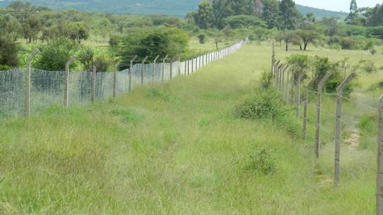 2 Acre Plot for Sale – Kyaani, Kamuthanga, Mua Region image 3