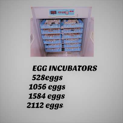 Automatic Chicken Eggs Incubator 528 Eggs image 2