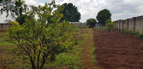 0.5 ac Residential Land at Hibiscus Drive image 8