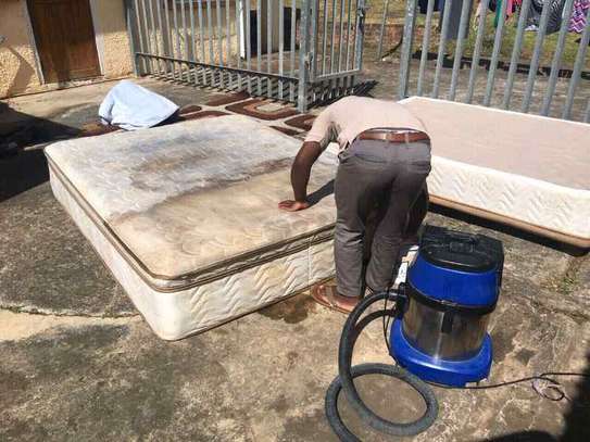 sofa cleaning and fumigation services image 4