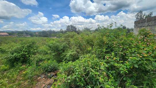 0.2 ha Commercial Land at Merisho Road image 5