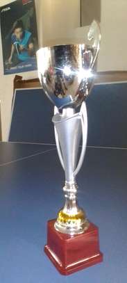 Brand New trophy image 1