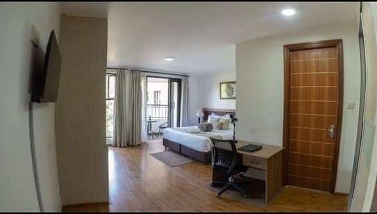 Furnished 3 bedroom apartment for rent in Riverside image 7