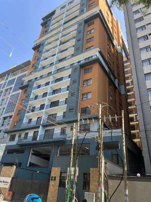 2 Bed Apartment with En Suite in Kilimani image 11