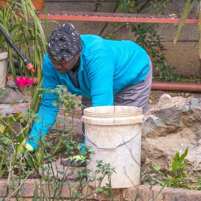Nairobi Best House Cleaners & Domestic Services  |  Trusted, and Convenient. image 12