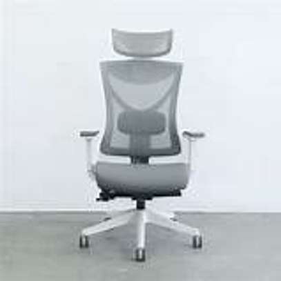 High Back Chair: Orthopedic Executive Chair image 2